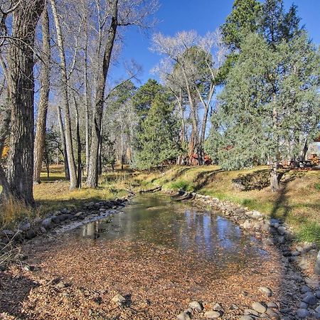Cozy Colorado Cabin With Deck, Grill And River Access! Буэна-Виста Экстерьер фото