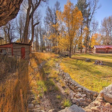 Cozy Colorado Cabin With Deck, Grill And River Access! Буэна-Виста Экстерьер фото