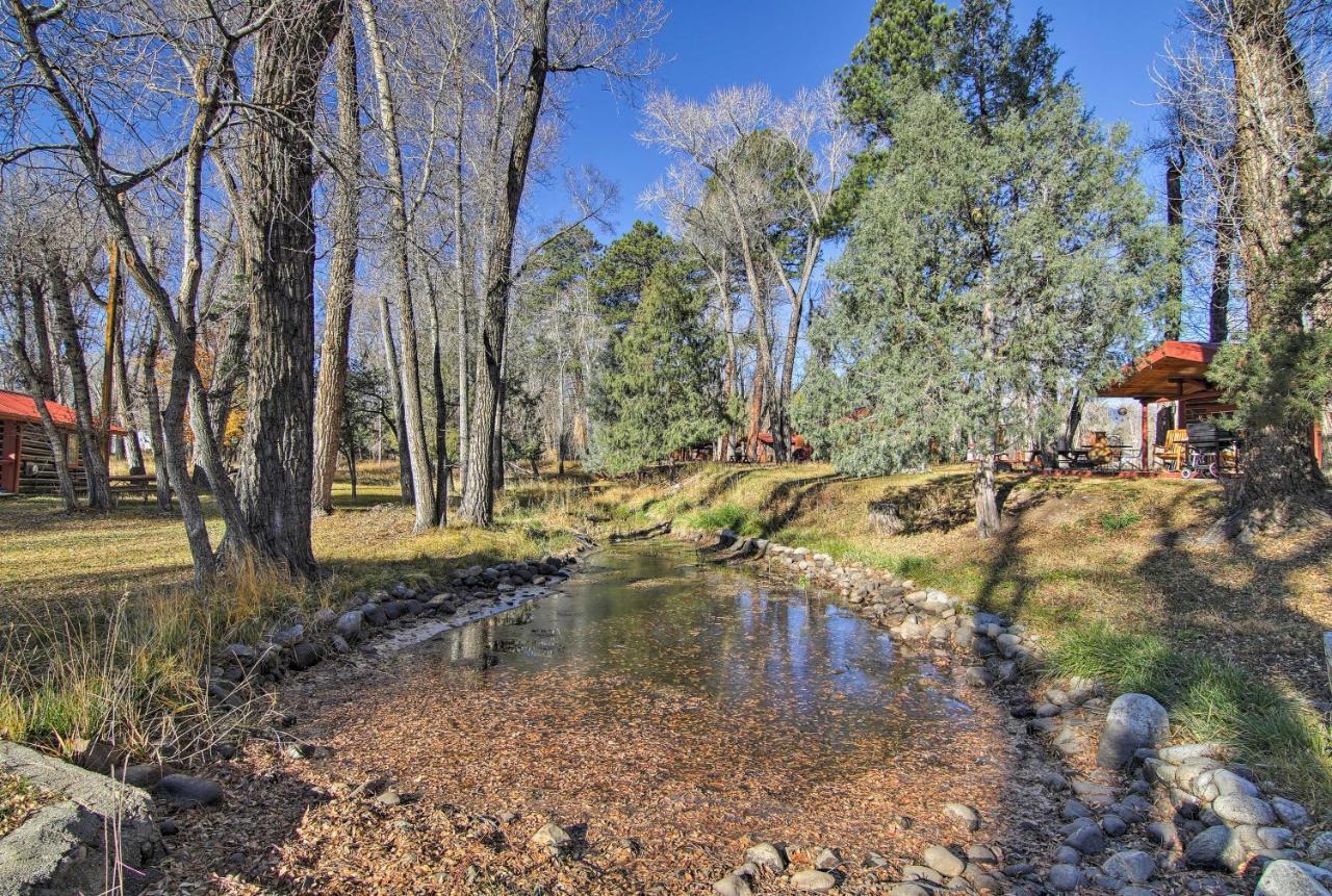Cozy Colorado Cabin With Deck, Grill And River Access! Буэна-Виста Экстерьер фото