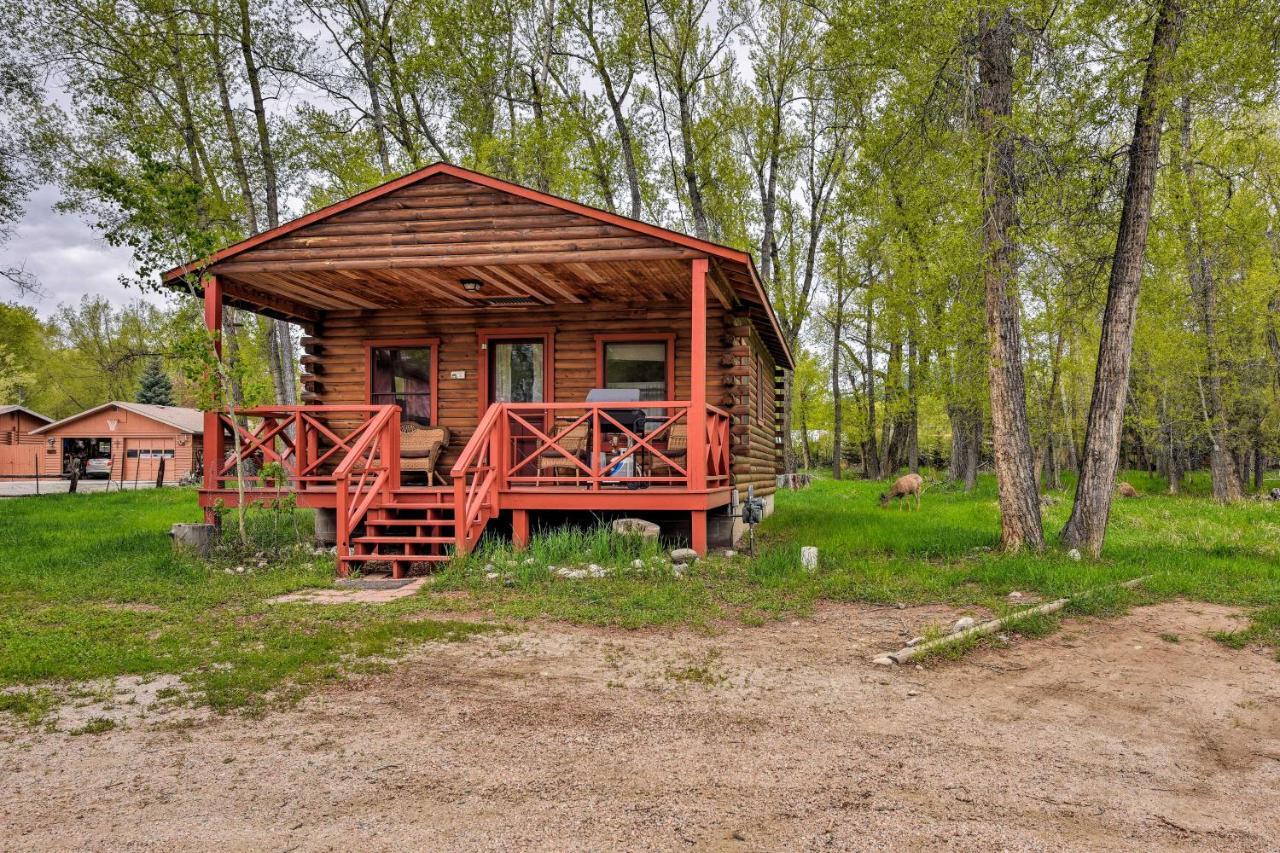 Cozy Colorado Cabin With Deck, Grill And River Access! Буэна-Виста Экстерьер фото